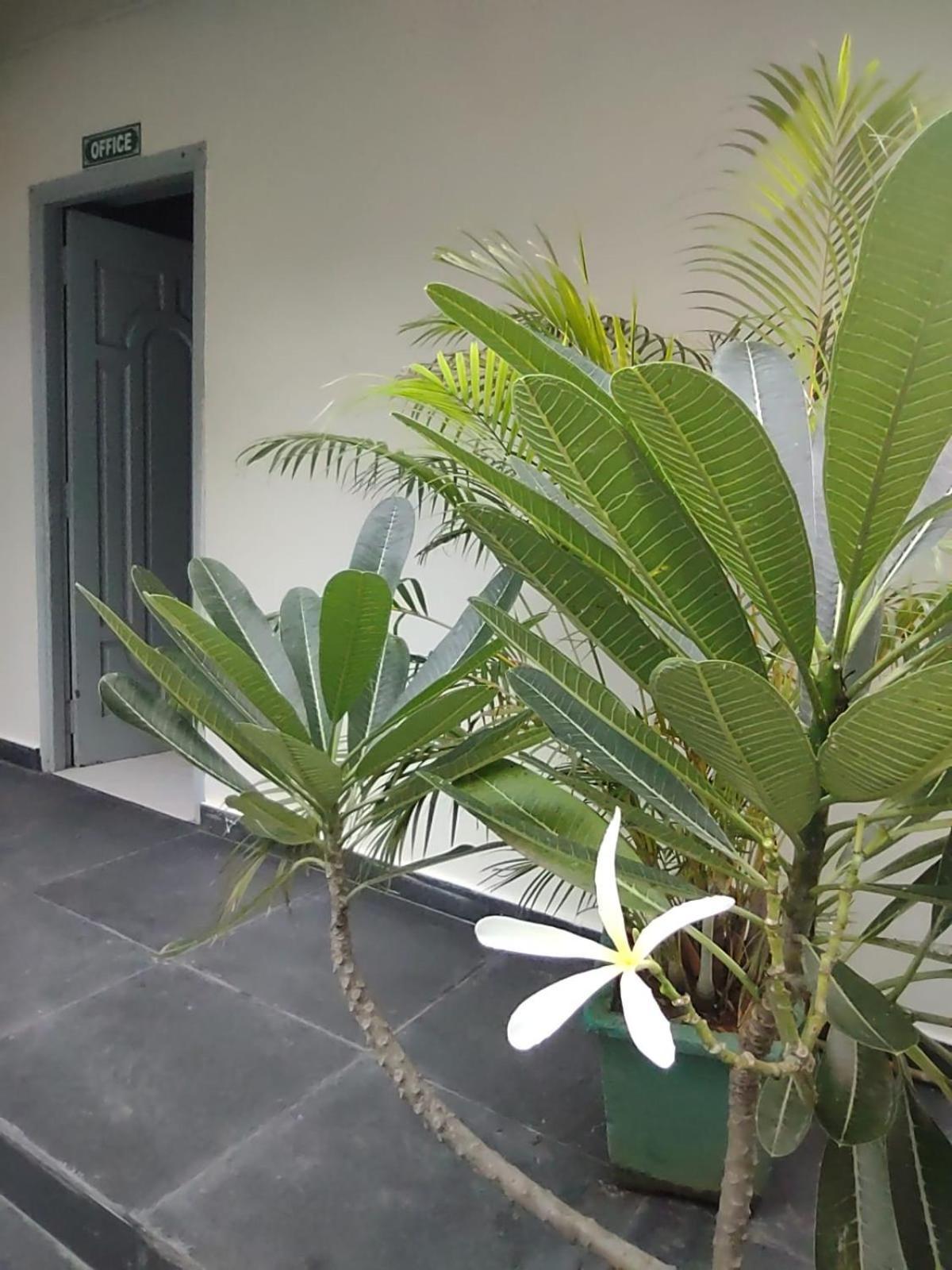 The Well Beach Side Guest House Auroville Exterior foto