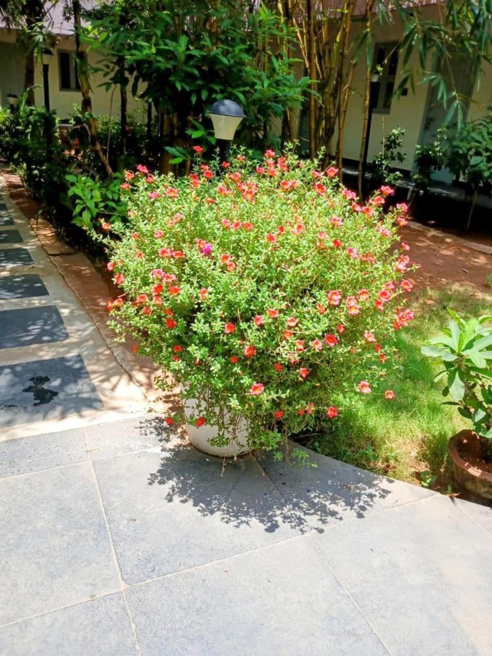 The Well Beach Side Guest House Auroville Exterior foto